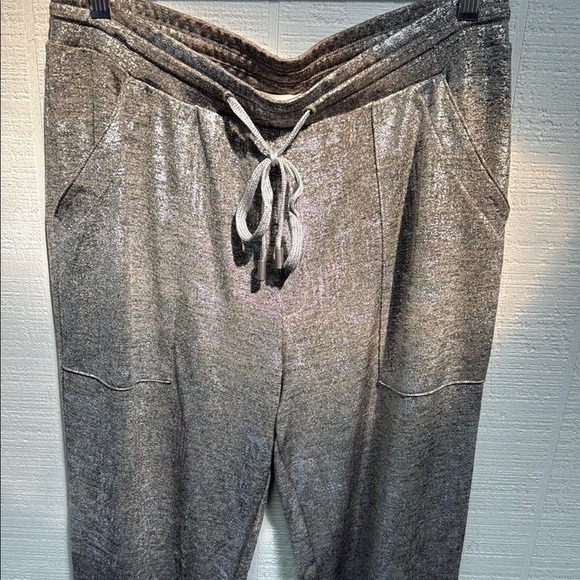 Anthropologie- Silver Metallic Jogger Pants - Picture 3 of 6